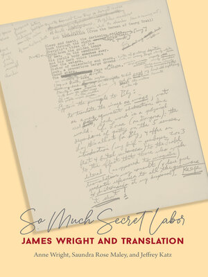 cover image of So Much Secret Labor